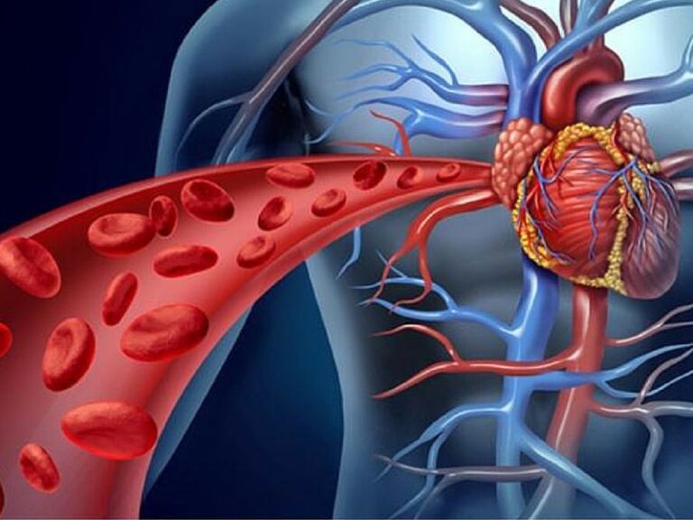10 способів покращити кровообіг та зміцнити серцево-судинну систему